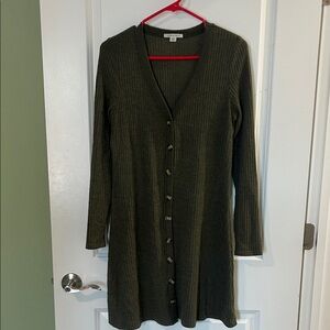 American Eagle Outfitters Olive Button-Down dress